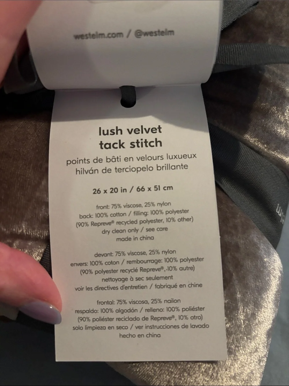 West Elm Velvet Pillow Sham